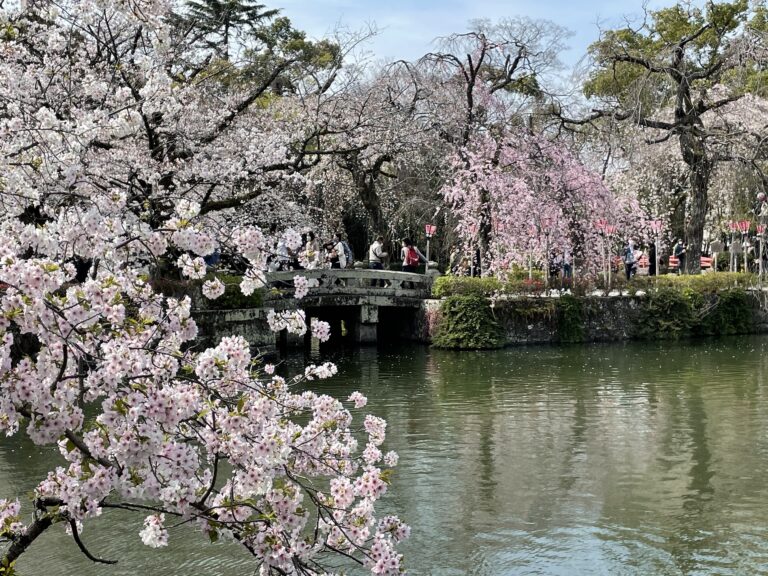 IN 1　Mishima Taisya Shrine 2 768x576